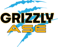 Grizzly ASE Inc